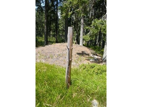 Foto 42